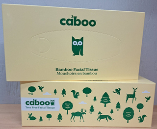 Facial Tissue Flat Box -120 three-ply (Caboo)